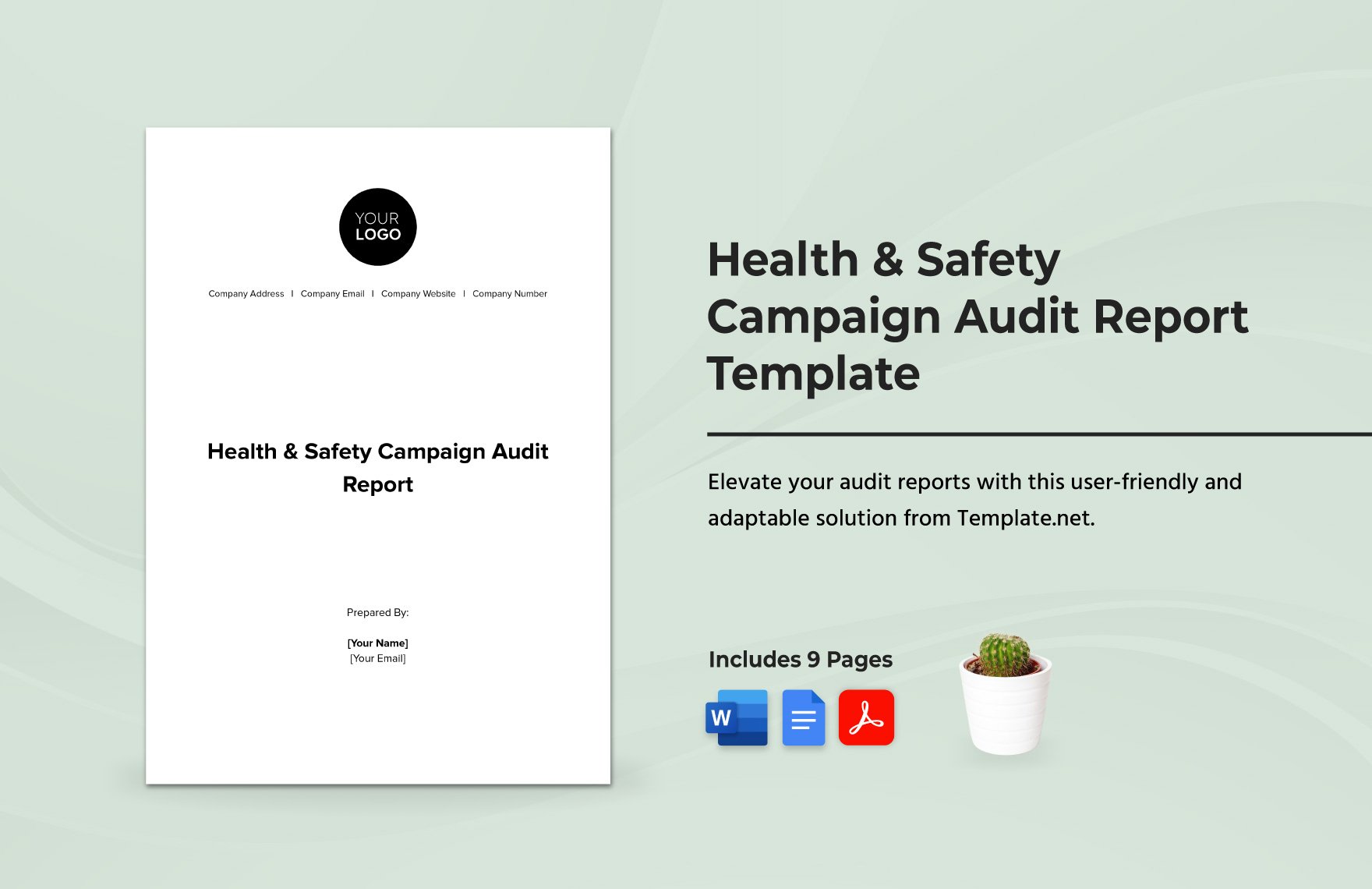 Health & Safety Campaign Audit Report Template