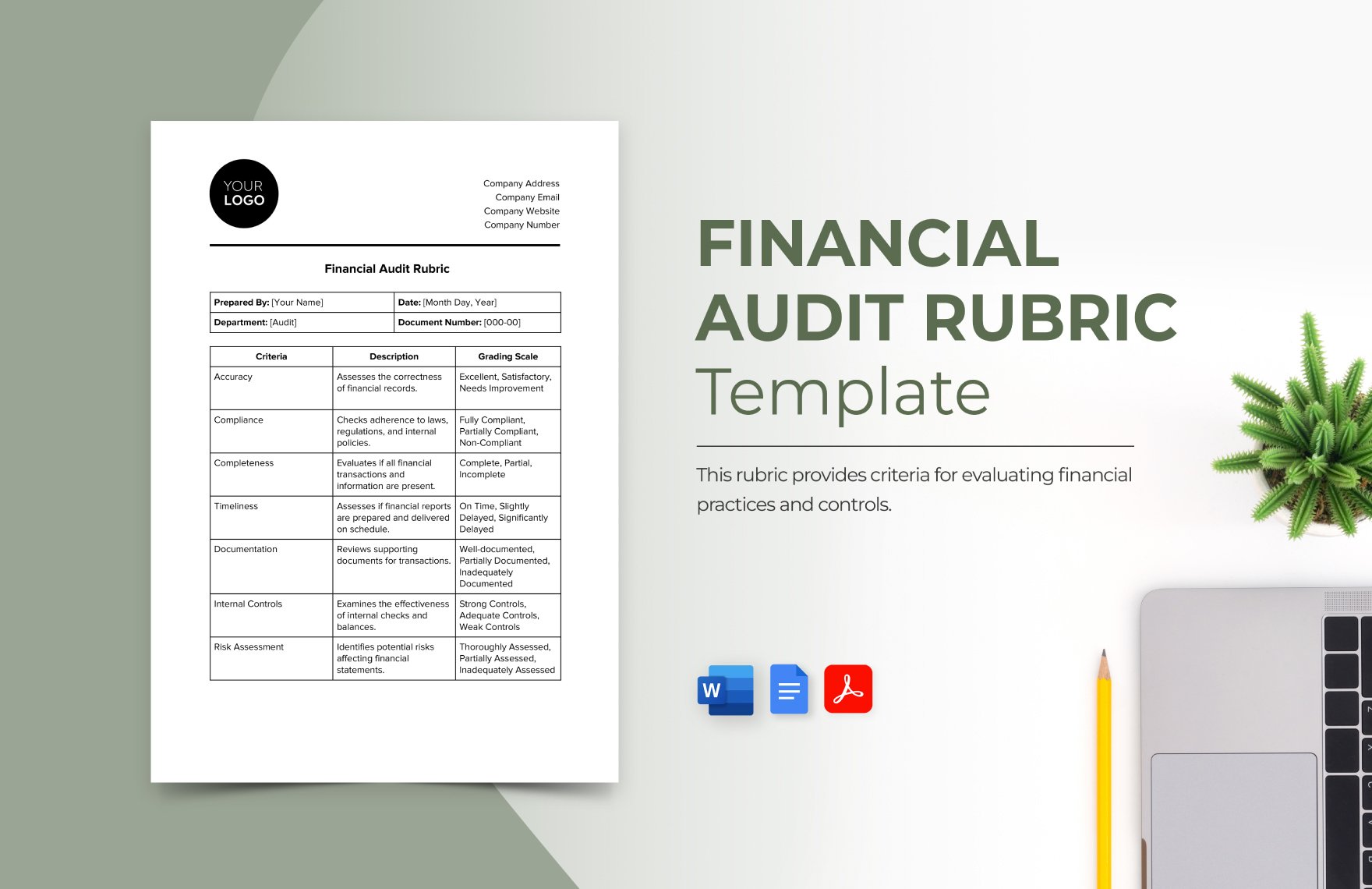 Financial Audit Rubric Template