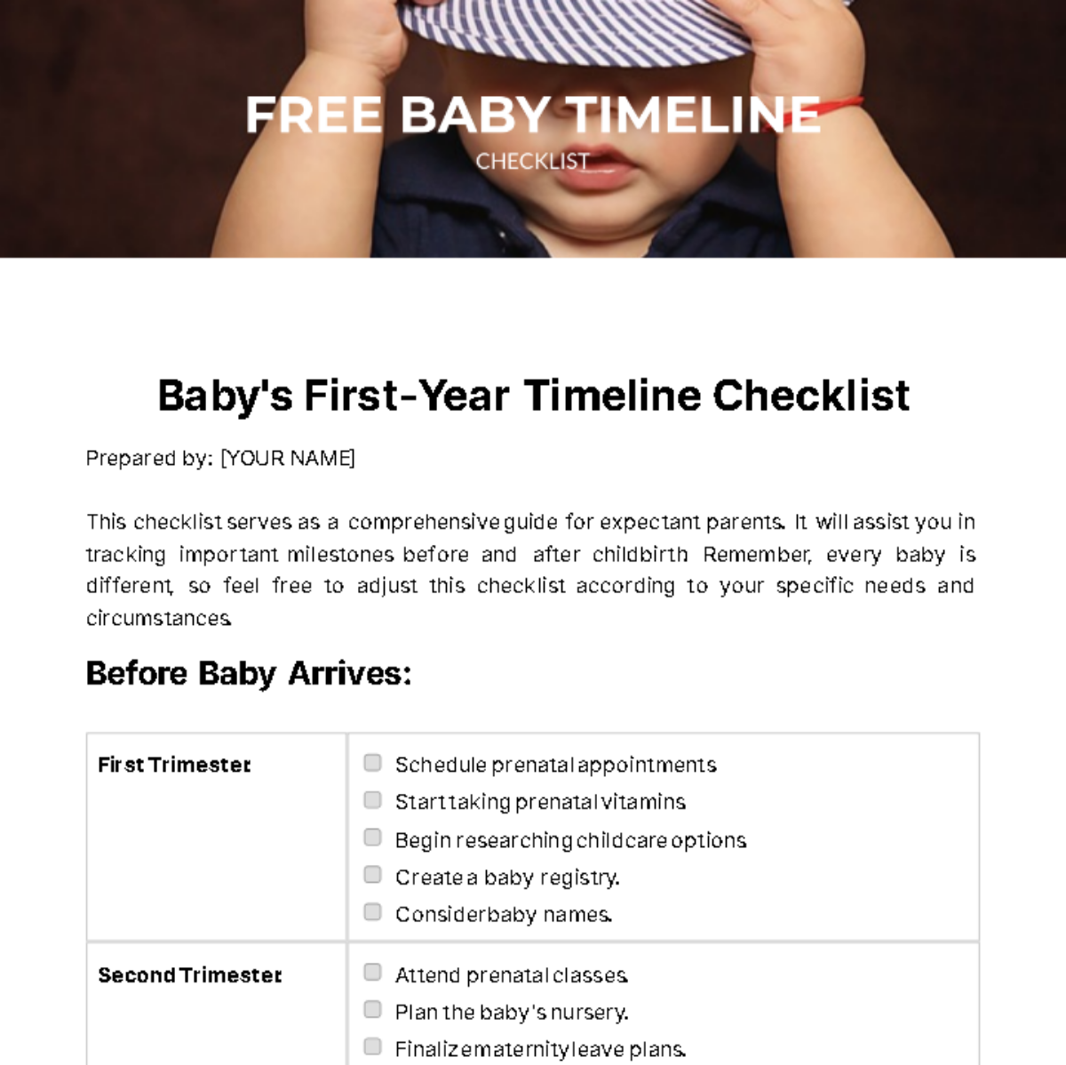 Baby Timeline Checklist Template