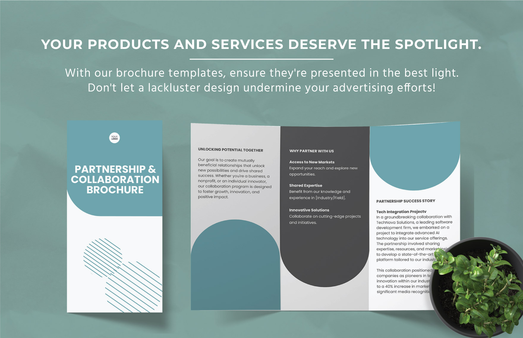 Partnership and Collaboration Brochure Template
