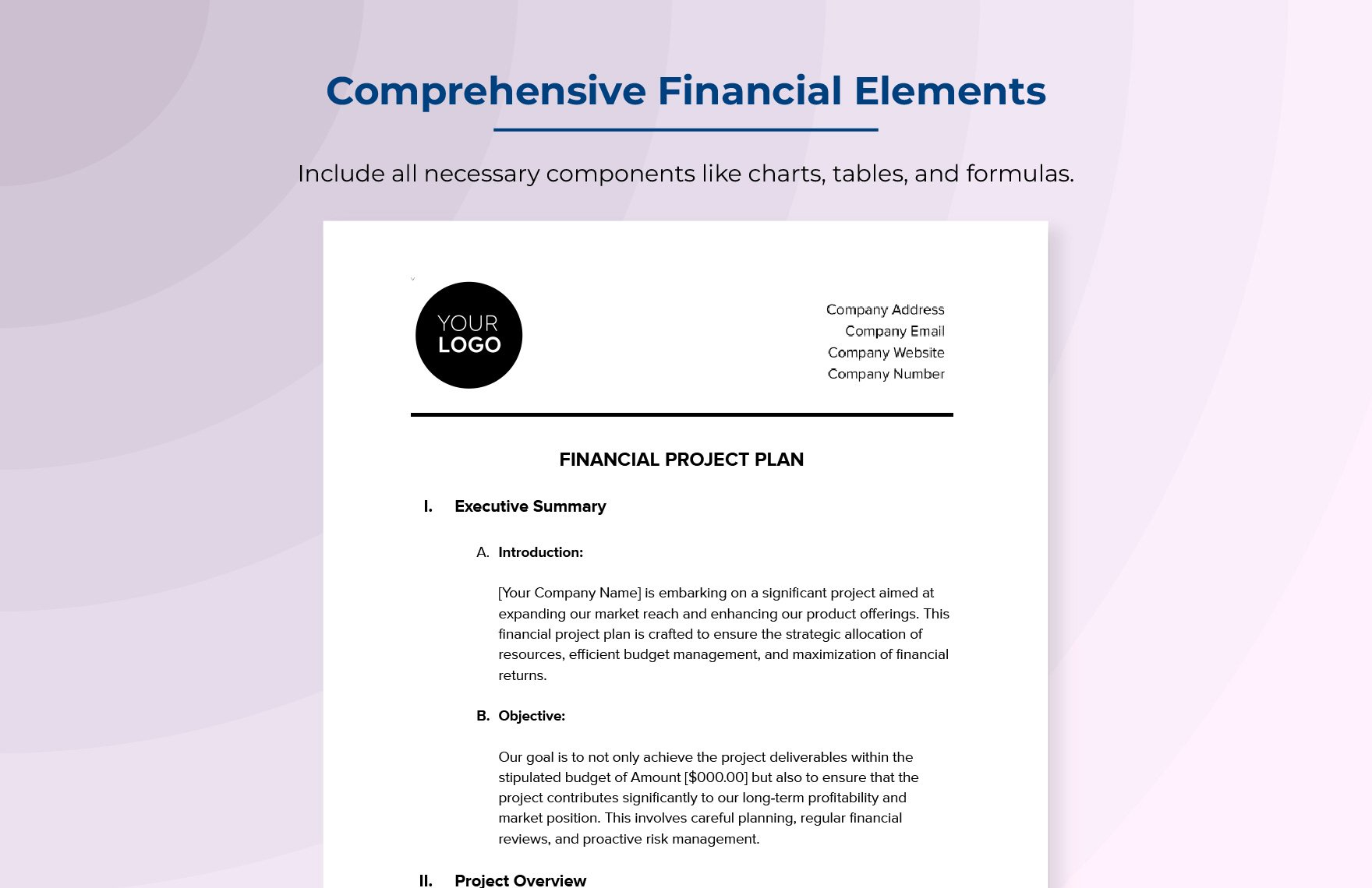 Financial Project Plan Template