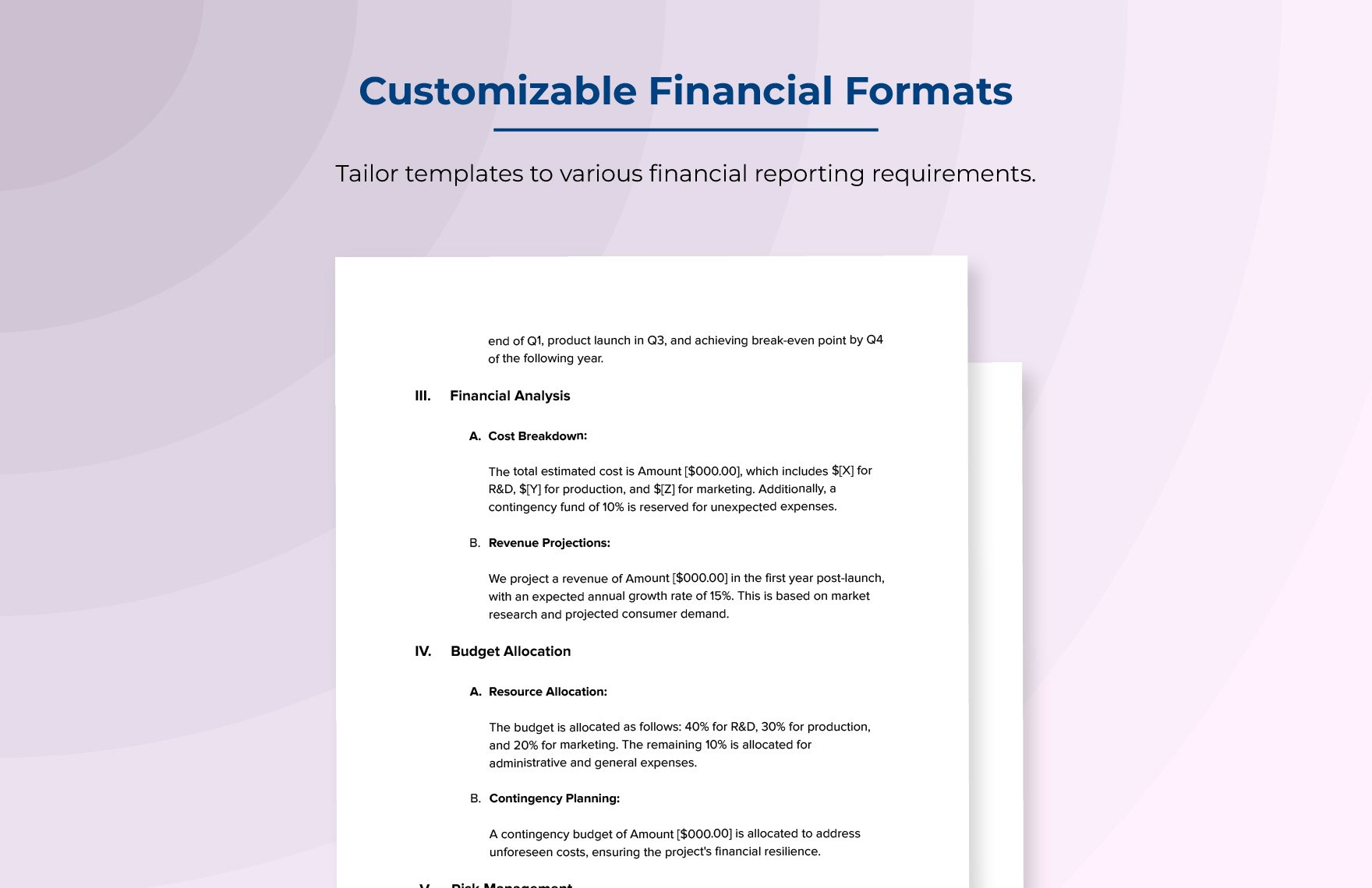 Financial Project Plan Template