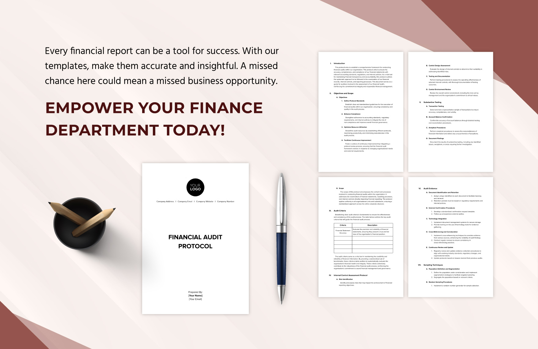 Financial Audit Protocol Template