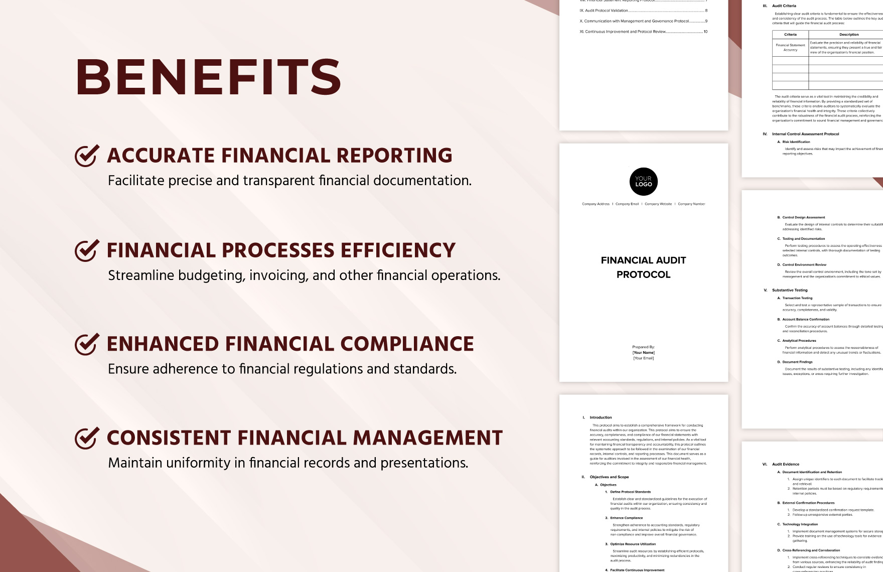 Financial Audit Protocol Template