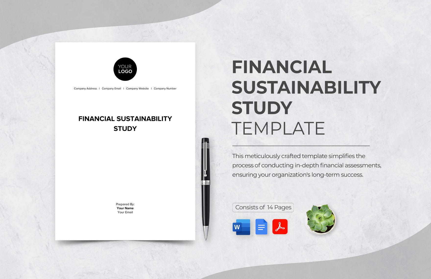 Financial Sustainability Study Template
