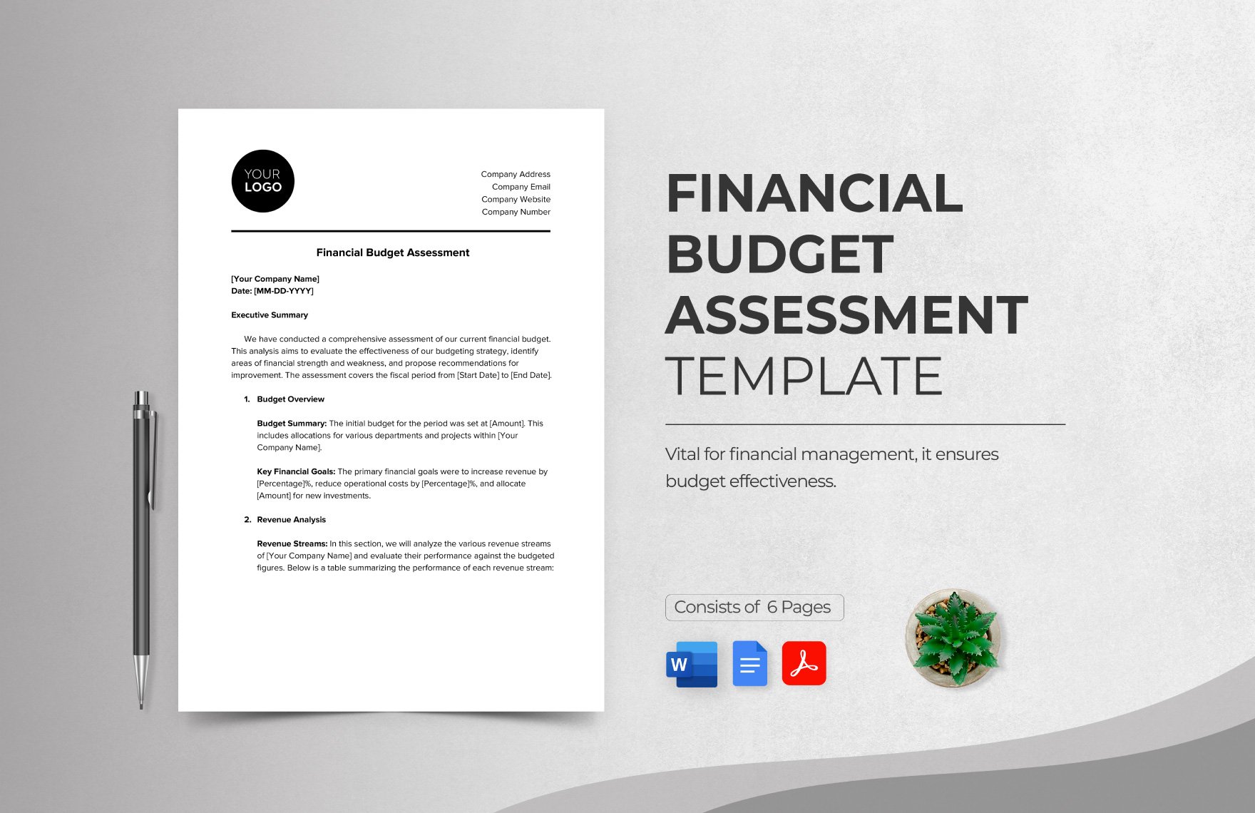 Financial Budget Assessment Template