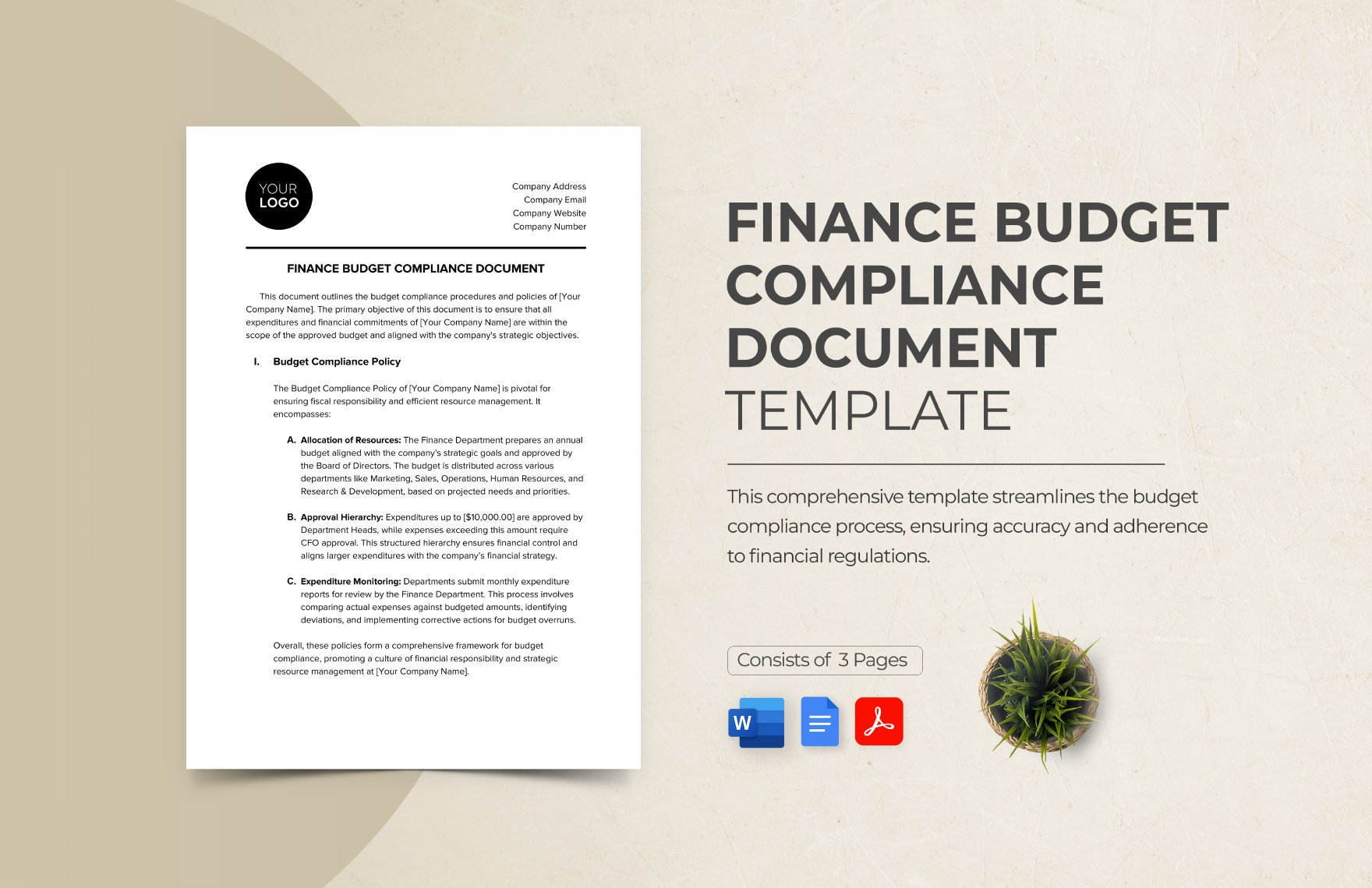 Finance Budget Compliance Document Template