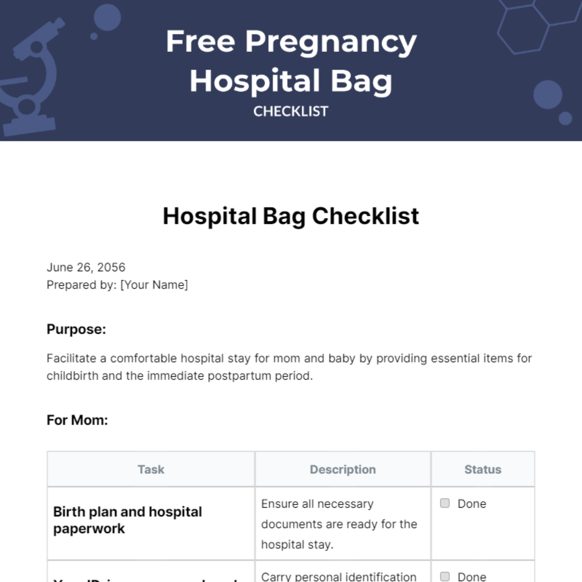 Free Pregnancy Hospital Bag Checklist Template
