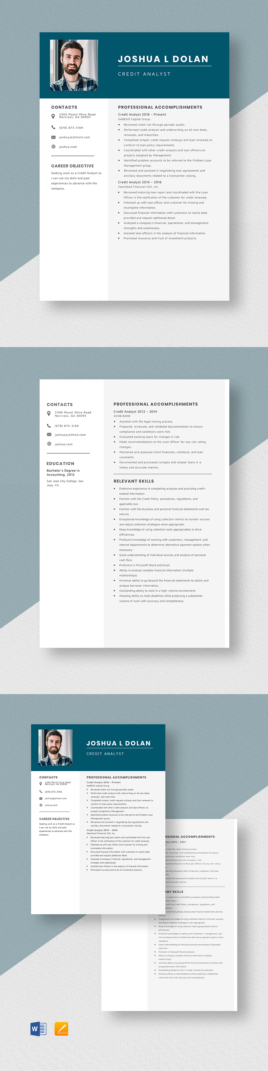 Free Credit Analyst Resume Template Word Apple Pages Template net