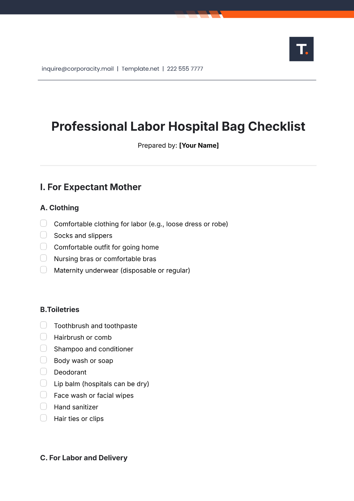 Professional Labor Hospital Bag Checklist Template - Edit Online & Download