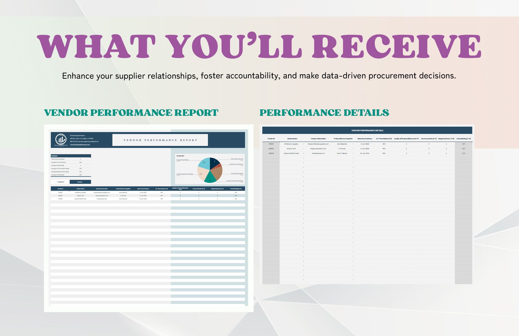 Vendor Performance Report Template