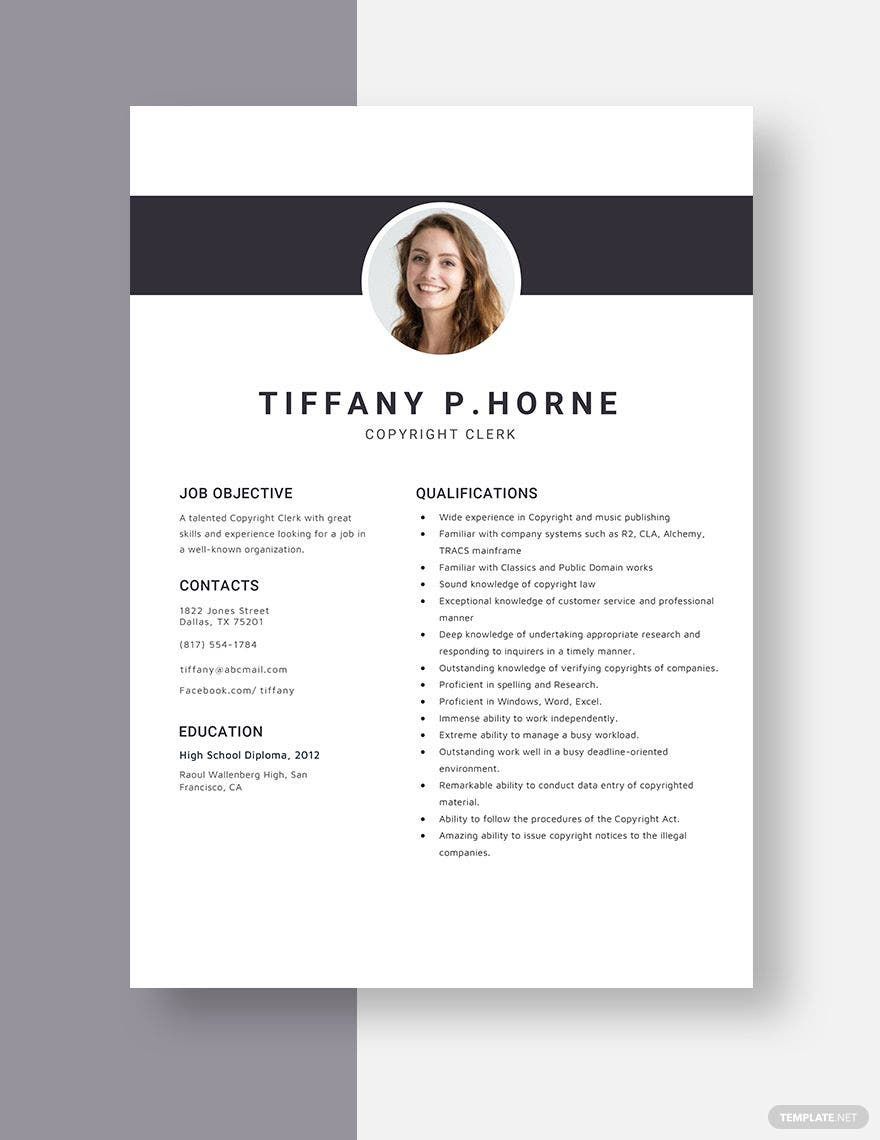 Copyright Clerk Resume in Word, Apple Pages