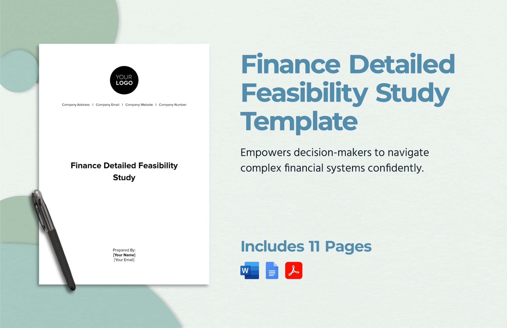 Finance Detailed Feasibility Study Template