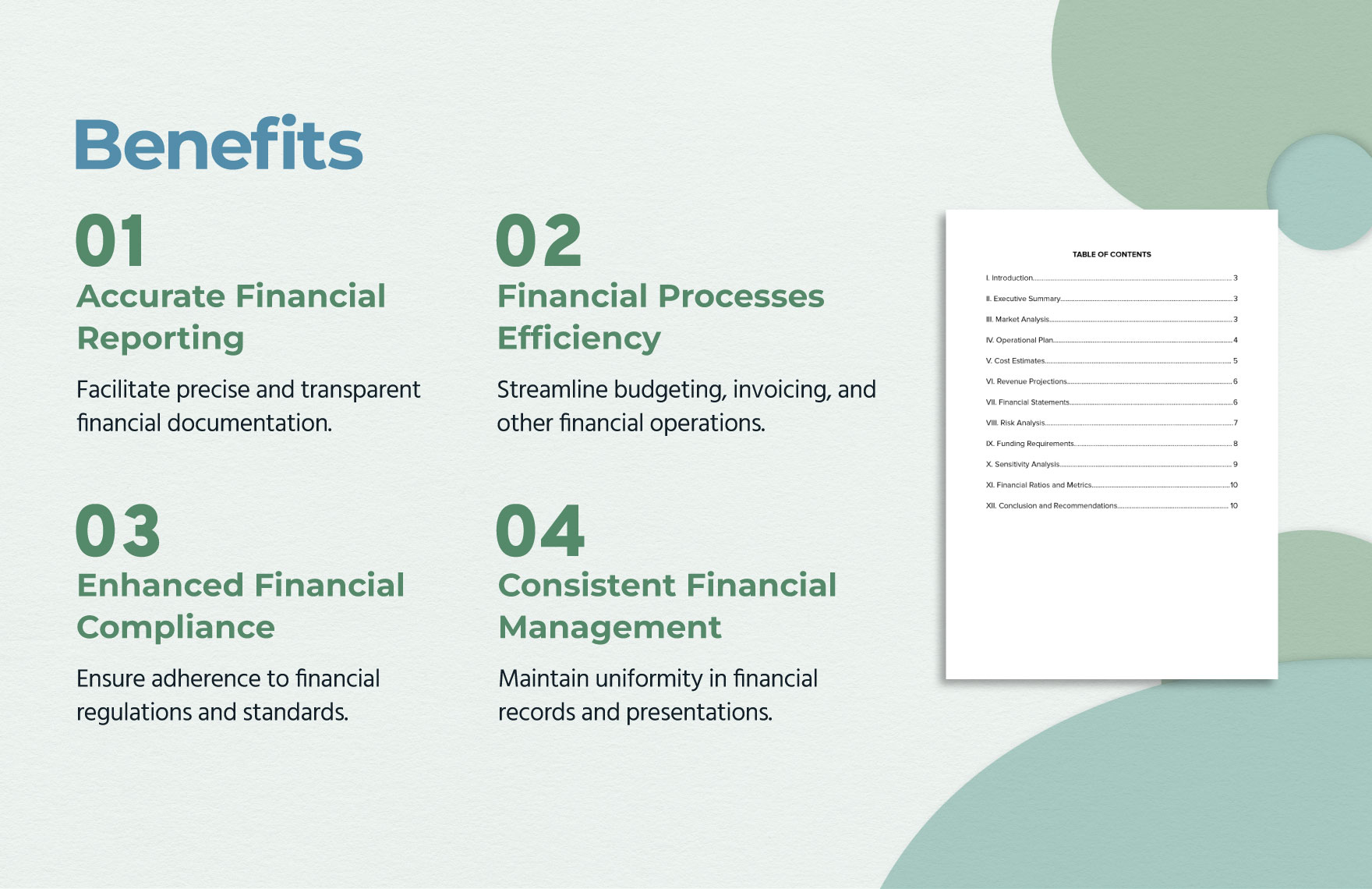 Finance Detailed Feasibility Study Template