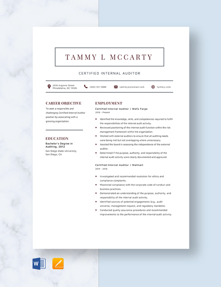 Internal Audit Resume Cv Template Word Apple Pages