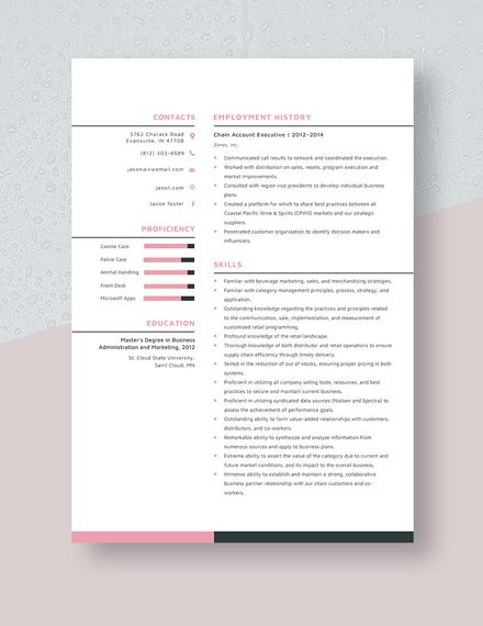 Chain Account Executive Resume  Template