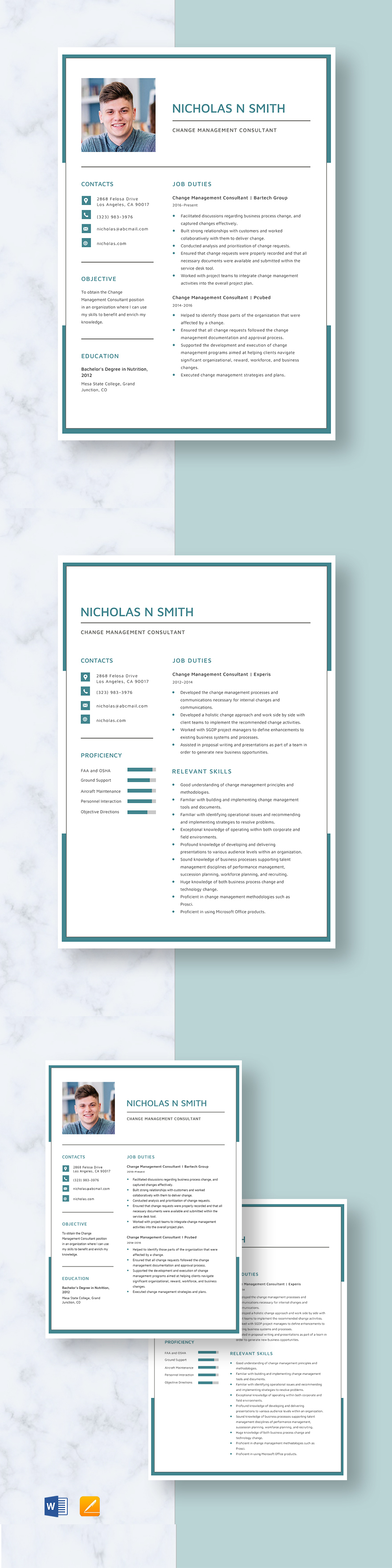 change-management-consultant-resume-template-word-apple-pages