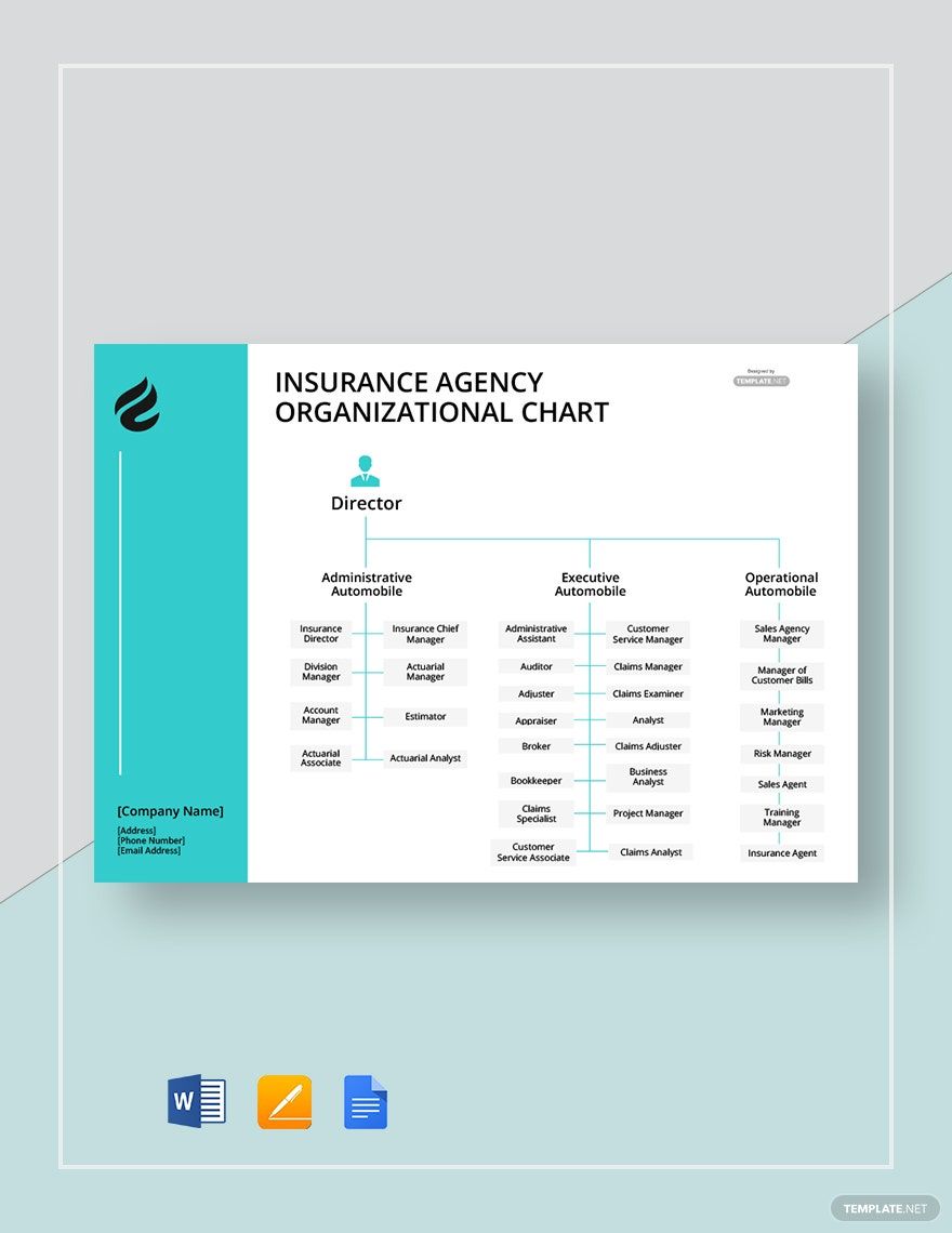 Insurance Agency Organizational Chart Template