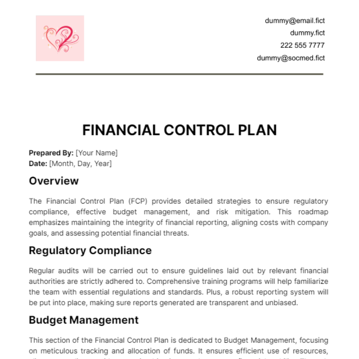 Financial Control Plan Template