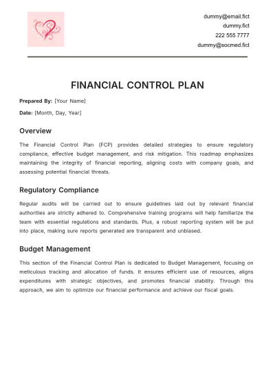Free Financial Control Plan Template to Edit Online