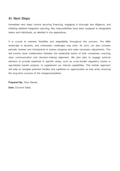 Free Finance Mergers & Acquisitions Balancing Plan Template to Edit Online