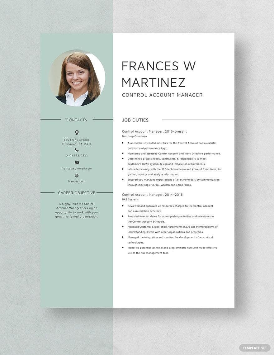Free Control Account Manager Resume Template