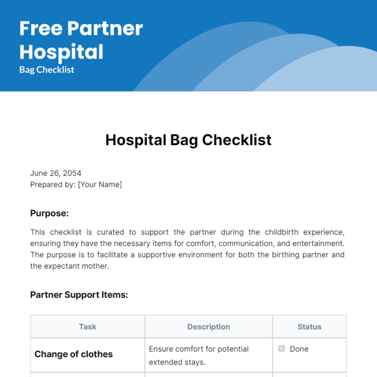 Partner Hospital Bag Checklist Template