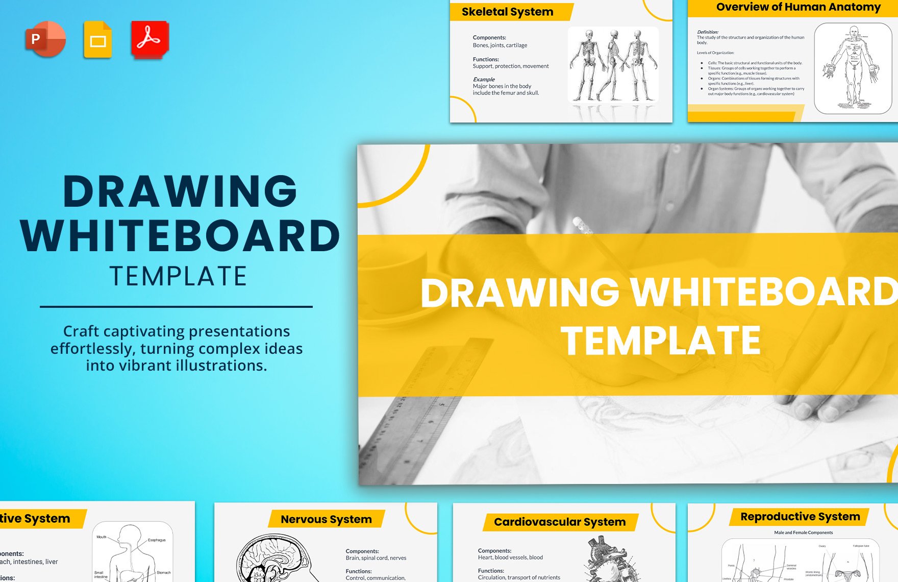 Drawing Whiteboard Template