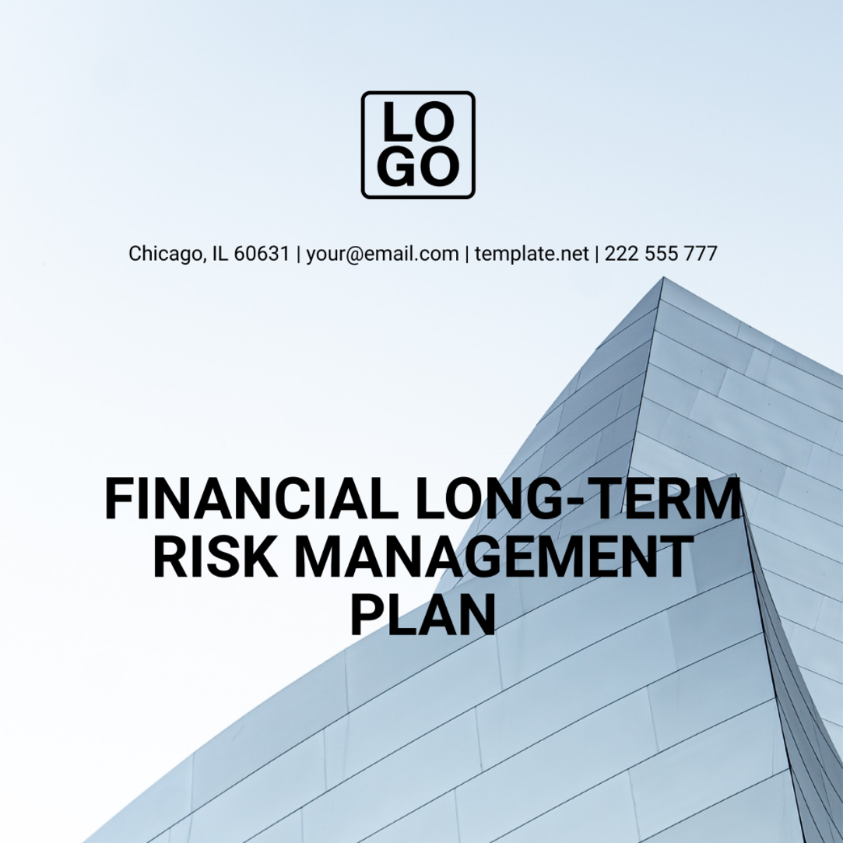 Financial Long-Term Risk Management Plan Template