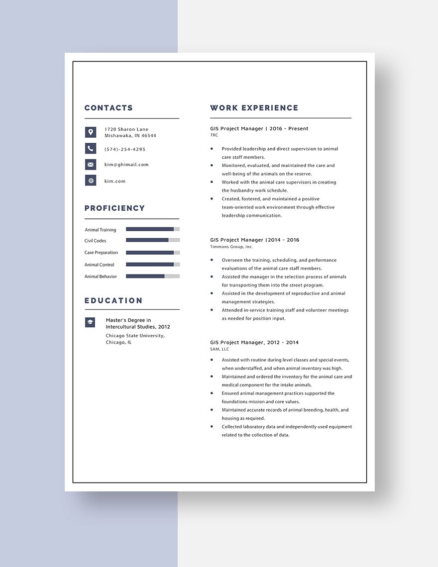 GIS Project Manager Resume