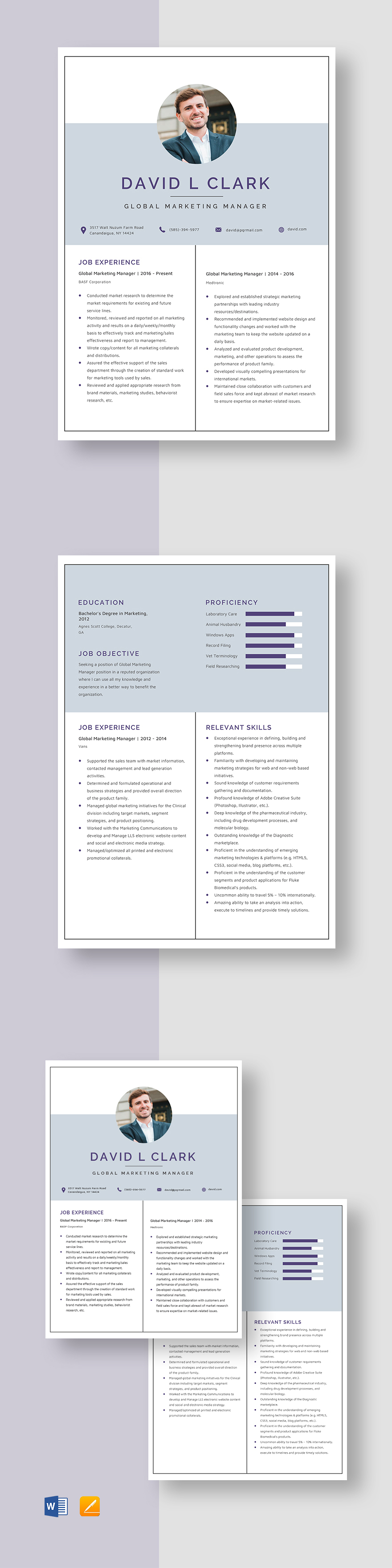 e-marketing-manager-resume-template-word-apple-pages-template