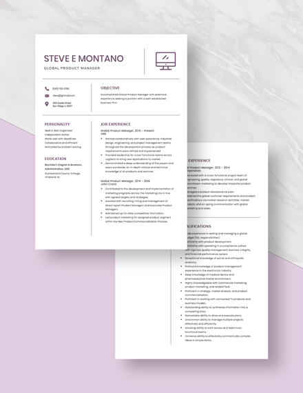 Global Product Manager Resume Download