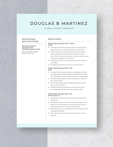 Global Project Manager Resume Template