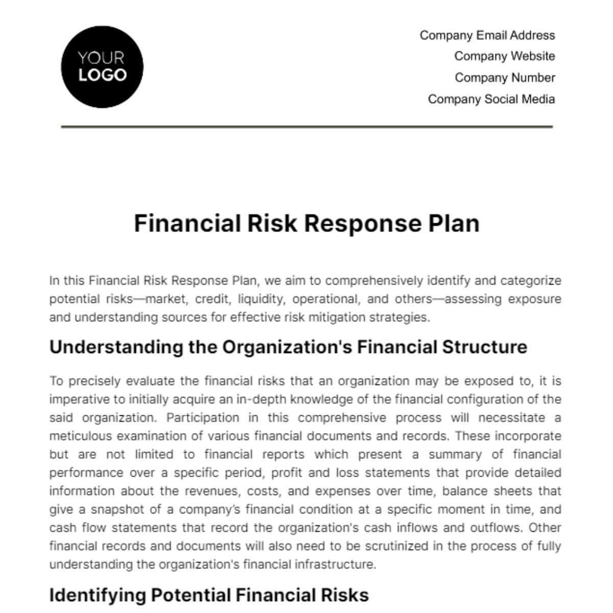 Financial Risk Response Plan Template