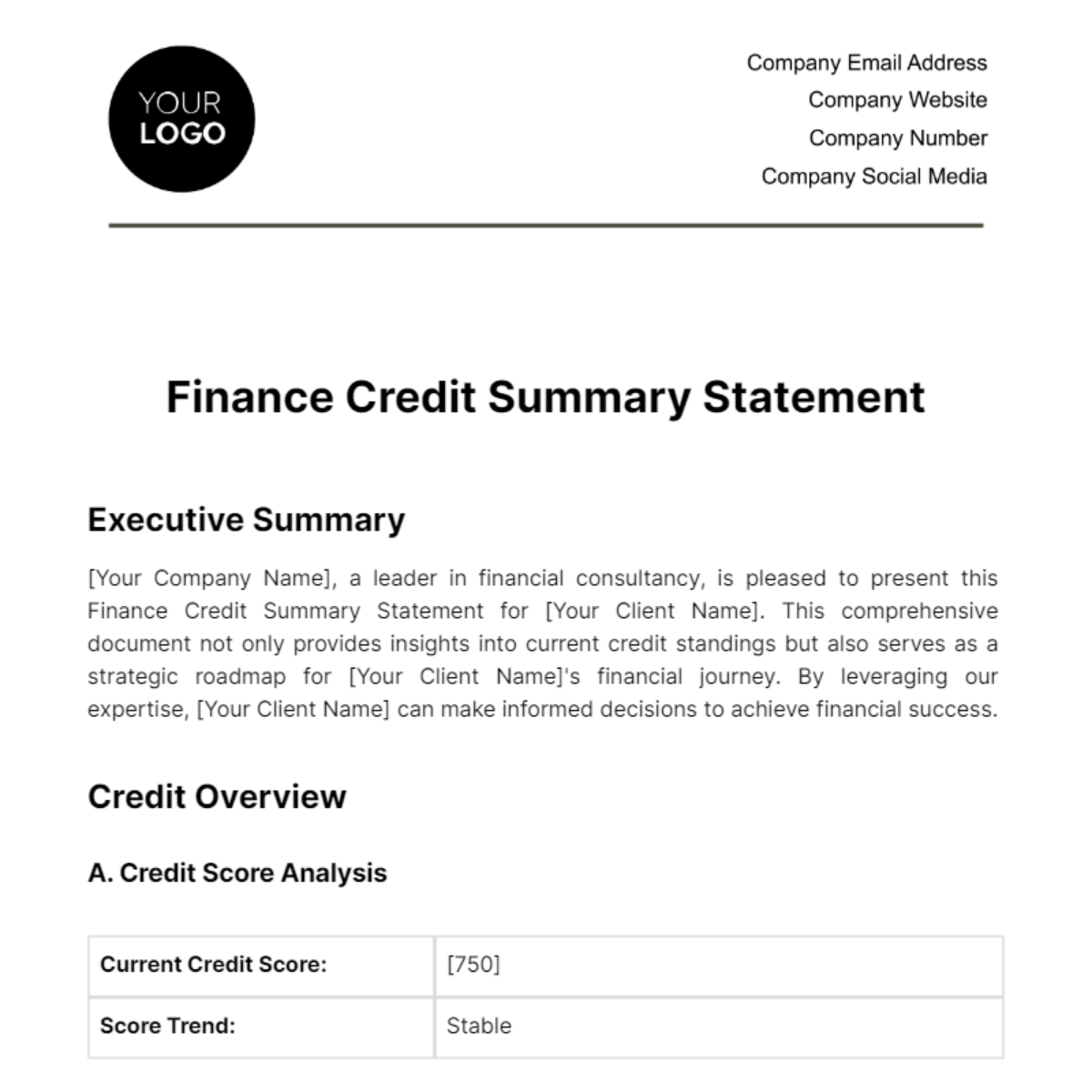 Finance Credit Summary Statement Template