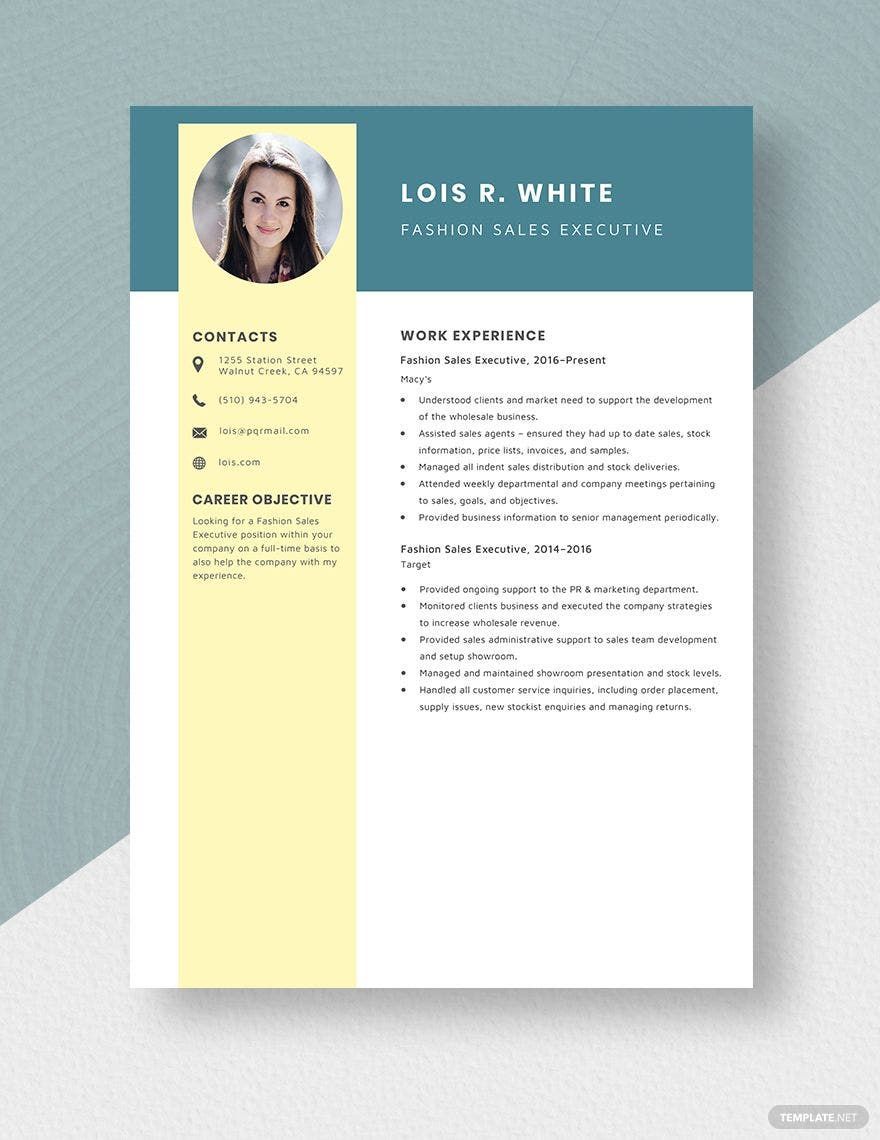 Executive Resume Template In Word FREE Download Template