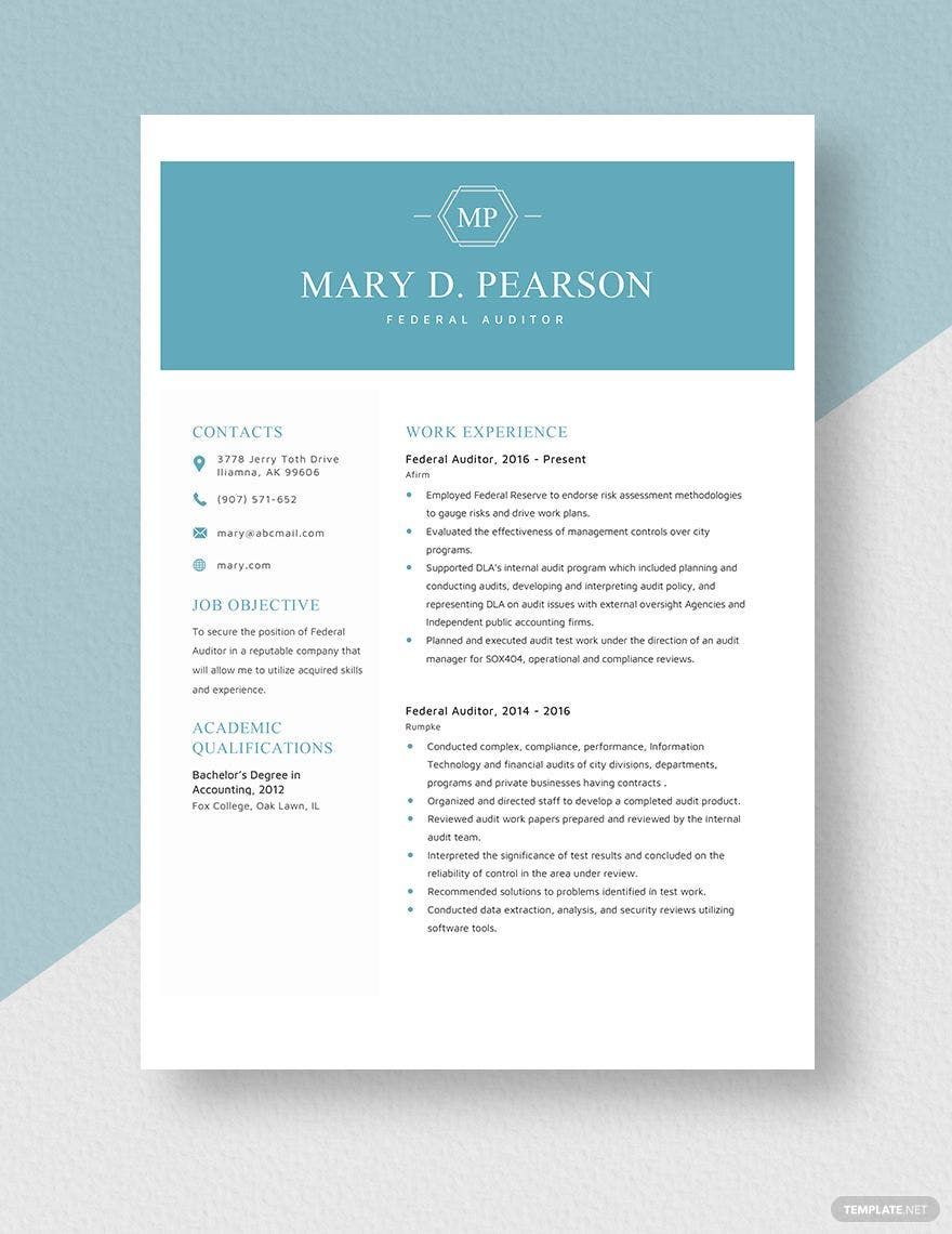 Federal Auditor Resume Template