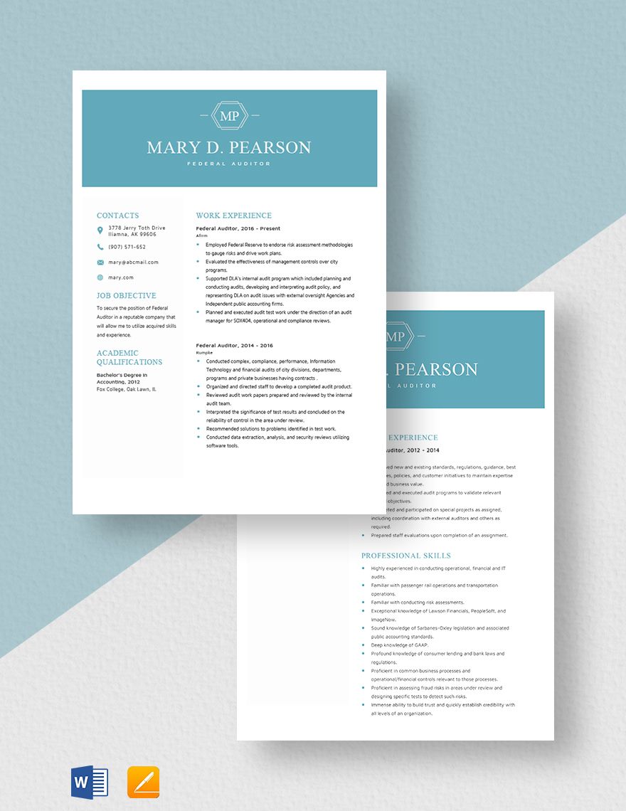 Federal Auditor Resume Template