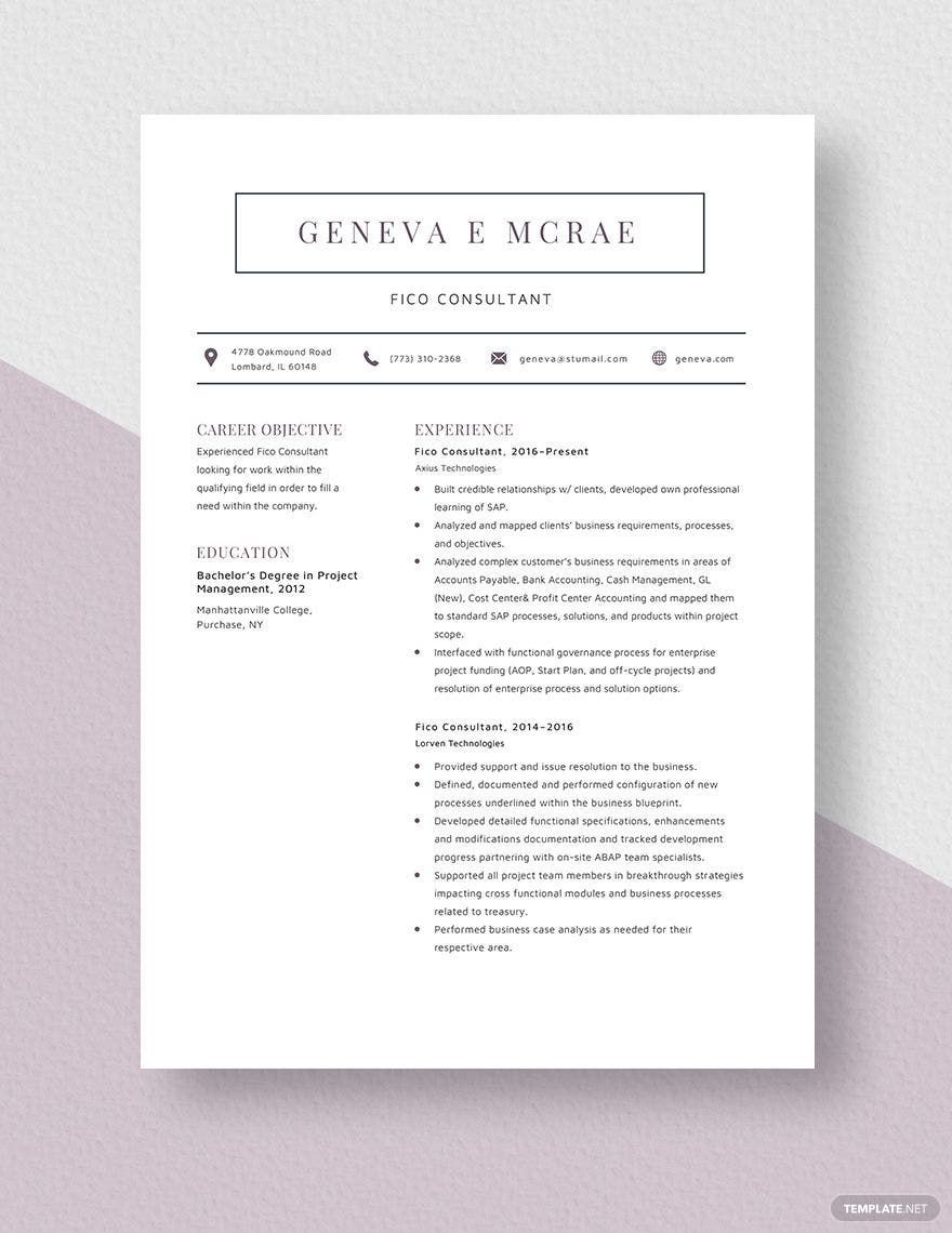 Free Fico Consultant Resume in Word, Apple Pages