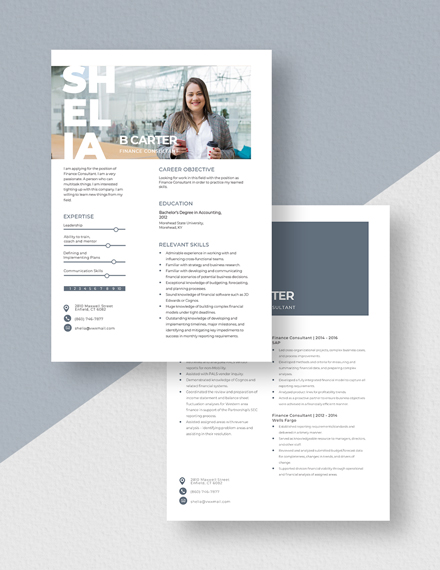Finance Consultant Resume Download
