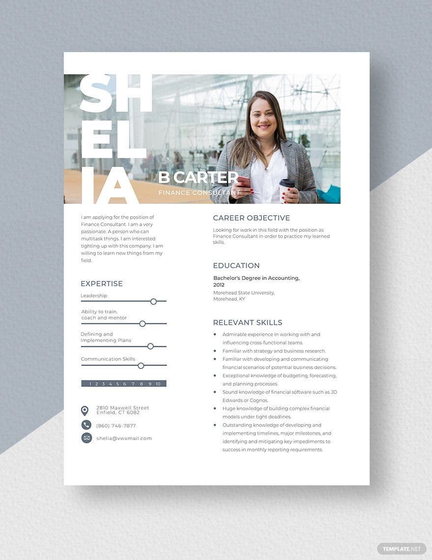 Finance Consultant Resume Template