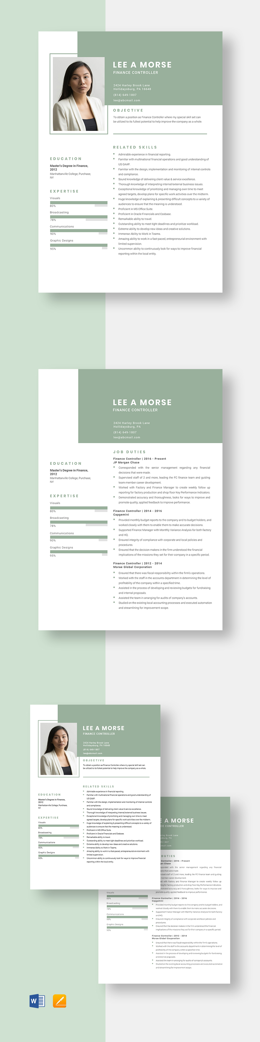 Finance Resume Template Word Apple Pages PSD PDF Publisher