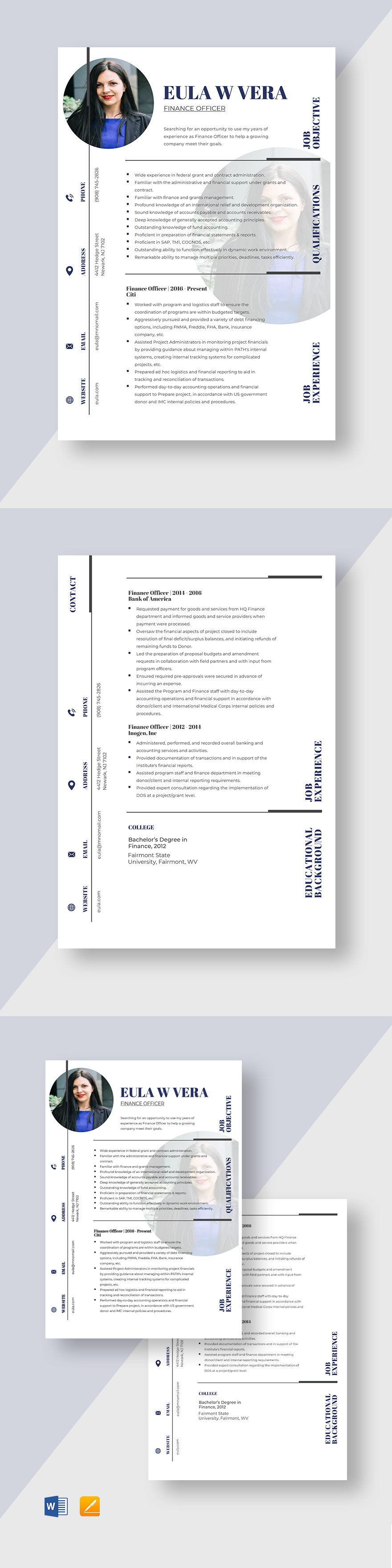 Finance Resume Template Word Apple Pages PSD PDF Publisher