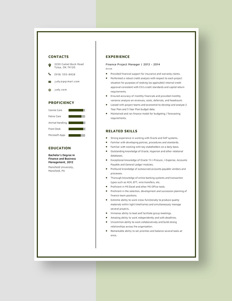 Finance Project Manager Resume