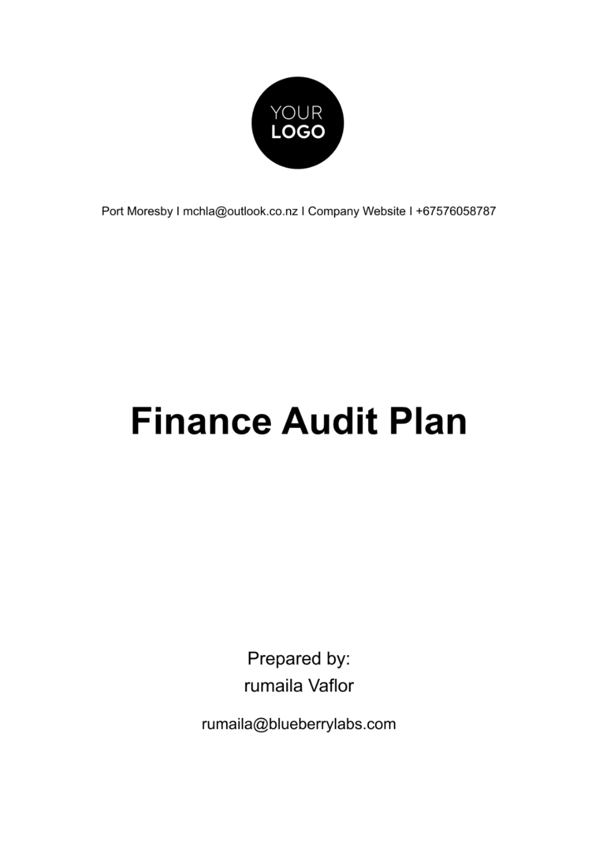 Finance Audit Plan Template