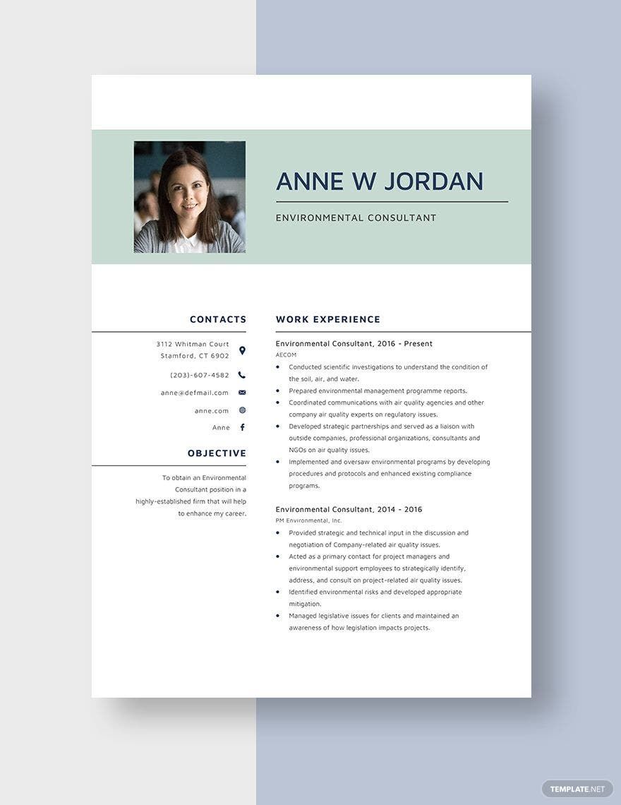 Environmental Consultant Resume in Word, Apple Pages