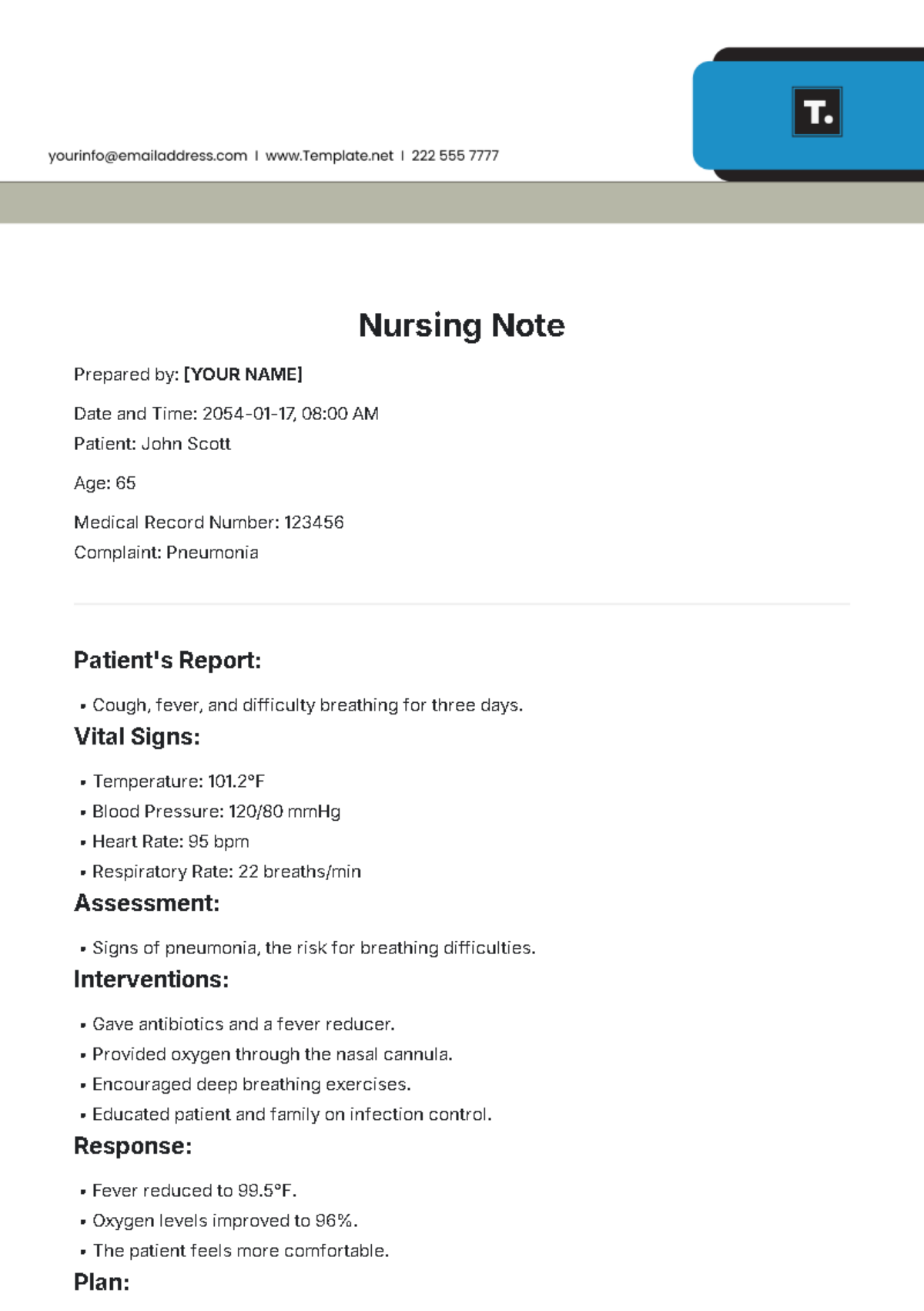 Nursing Note Template - Edit Online & Download