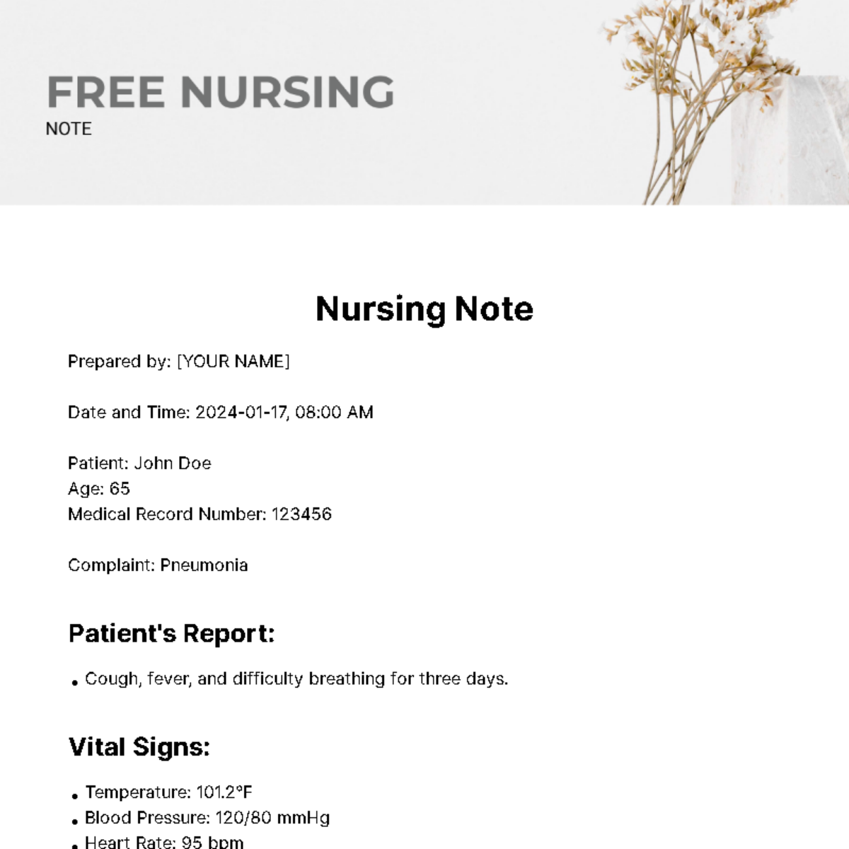 Free Nursing Note Template