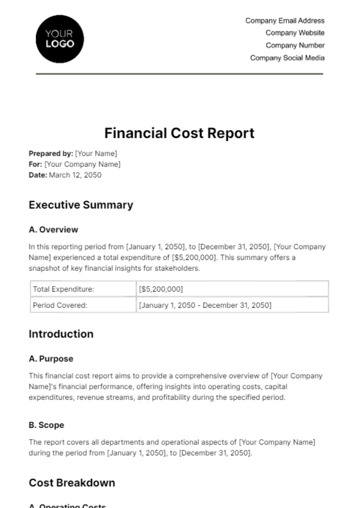 Financial Cost Report Template