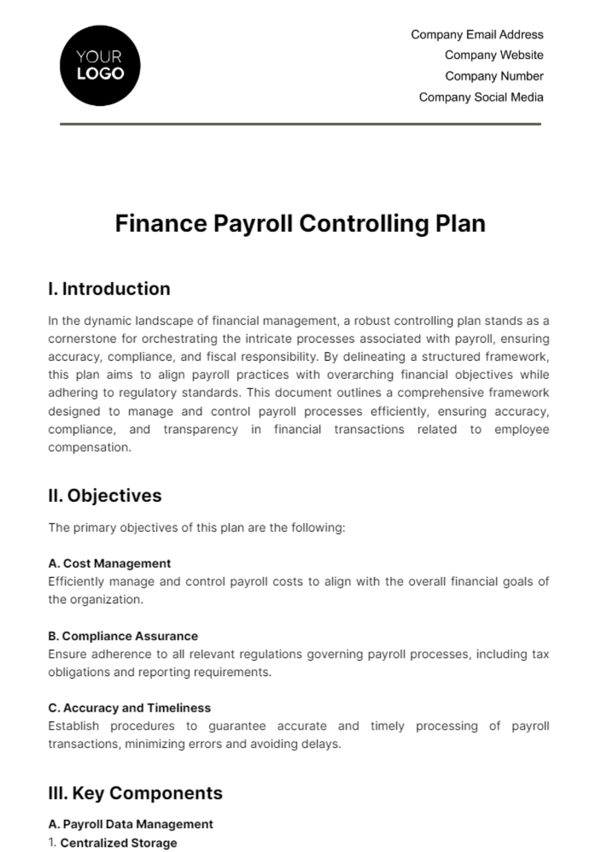 Free Finance Payroll Controlling Plan Template